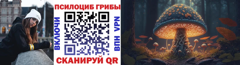 Псилоцибиновые грибы мухоморы OMG как войти Барнаул